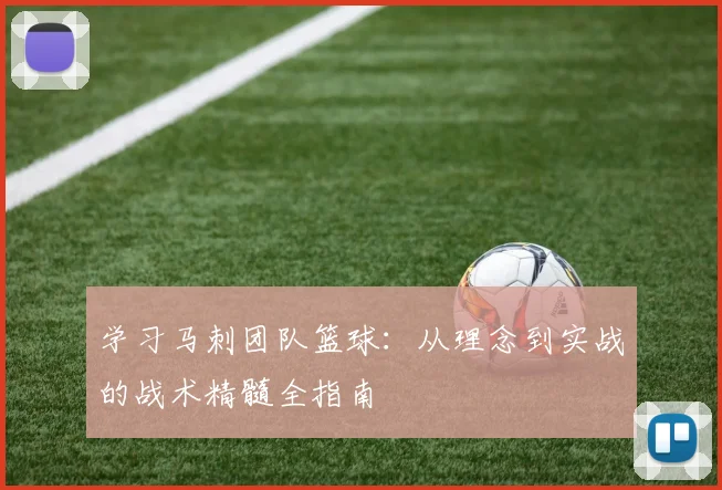 学习马刺团队篮球：从理念到实战的战术精髓全指南